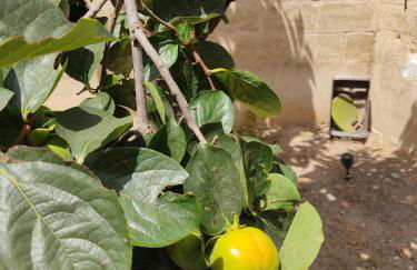 Villetta Lia - Foto 21