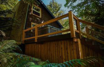 NWPADS-Verlot River Cabin - Hot Tub-Firepit-Beach - Foto 6