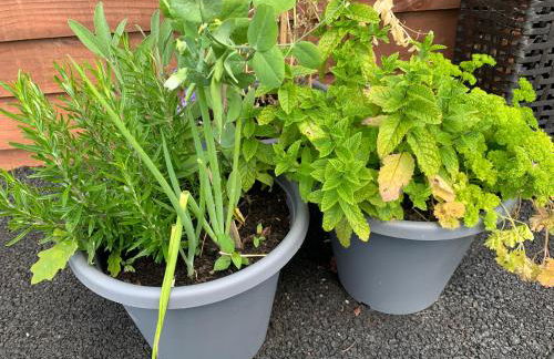 Kabin in the woods with Hot Tub - Foto 53