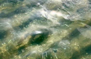 Gutshaus Haidhof - Foto 51