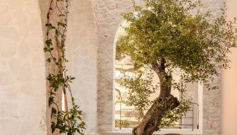 Kerami Kefalonia - Foto 4, Garden view