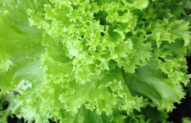 Hewletts Mill - Foto 56