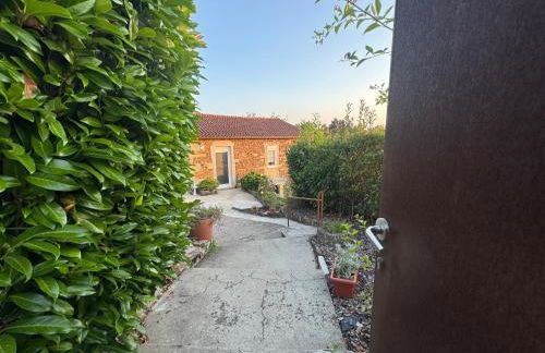 Casa da Avó Quina - Seixas - Foto 3