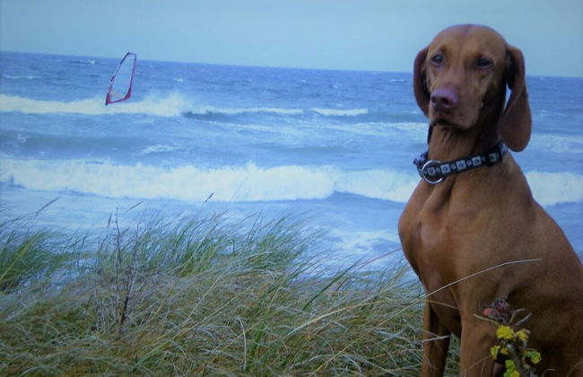 Sea View E&J Paul Comfortable Vacation Home - Foto 19