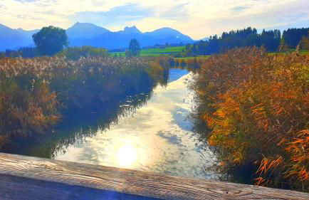 Landhaus Amberg Hopfen am See // Hopfensee // Füssen - Foto 45