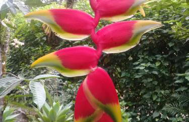 Mansão Adonai nas Cachoeiras de Penedo - Photo 17