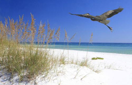 Cozy Canaveral Beach Condo! Next to NASA Launch Site - Foto 23