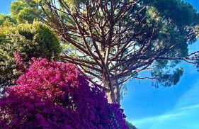 LETS HOLIDAYS Lovely garden house in mar menuda - Foto 25