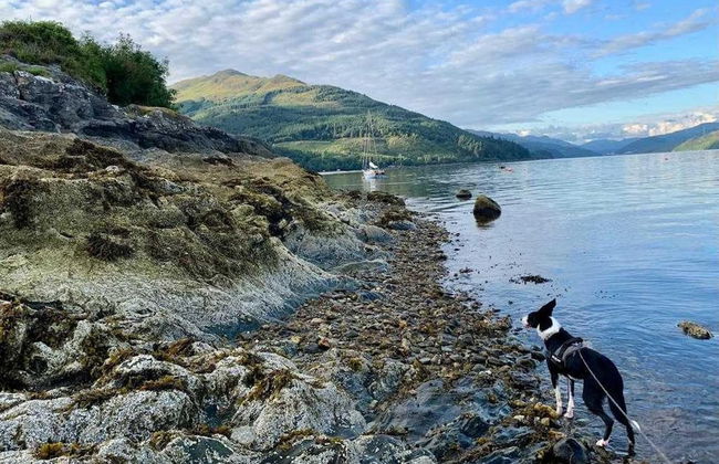 Cottage in Kilmun, Argyll - 2 Bedrooms, Sleeps 2 - Foto 8