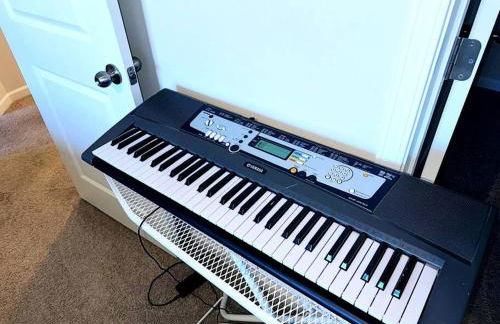 Simple Elegant Single Family Home DT Raleigh - Foto 67