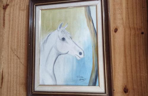 Hospedaria Recanto da Paz - Foto 79