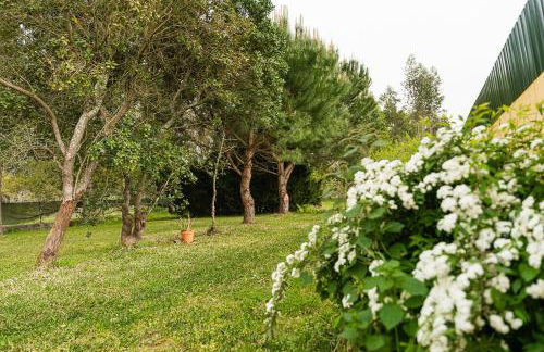 GuestReady - Quinta do Sol - Foto 43