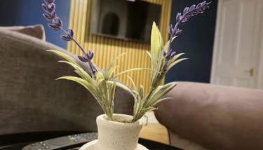 Sizewell - Contractors - Free Parking - Vacation - Foto 1