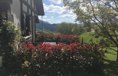 Casa Rural Balerdi - Foto 21