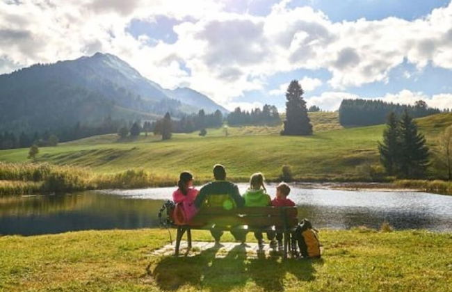 Guthof Lutz Appartement mit kostenlosen Sommerbergbahnticket Mai bis Oktober - Foto 19