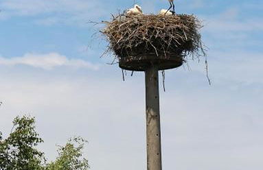 Fewo Abendsonne - Foto 46