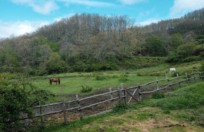 Agriturismo La Casina della Burraia - Photo 45