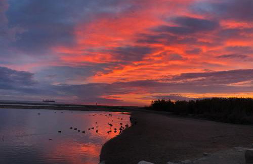 Medina 119 - Foto 37