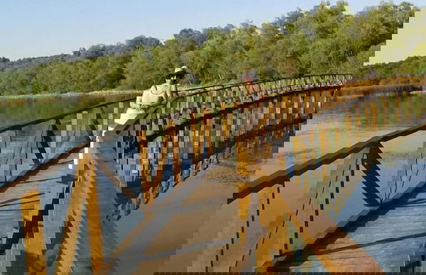 Mikin dol Baranja Country House - Foto 43