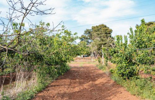 Masseria Piutri - Photo 29