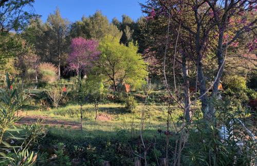 La Villa du Castel - Foto 51