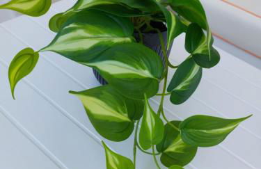 Nefeli Seaside Apartment Elegant Stay Near the Beach - Foto 58