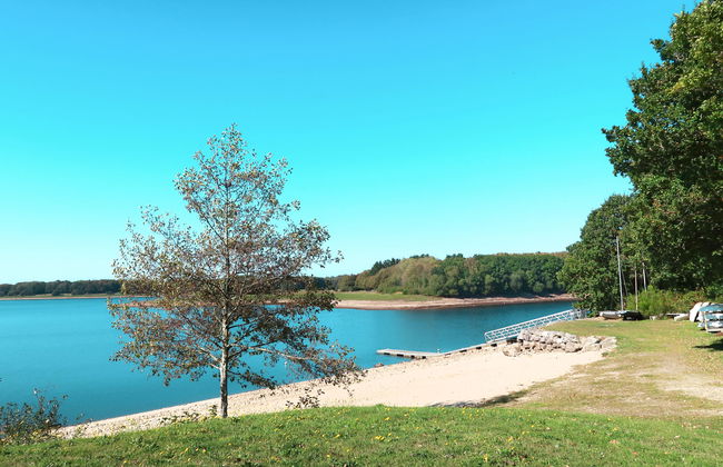 Blaue Hortensie - Foto 22