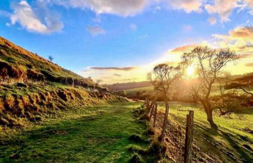 Beachborough Park Summer House - Foto 17