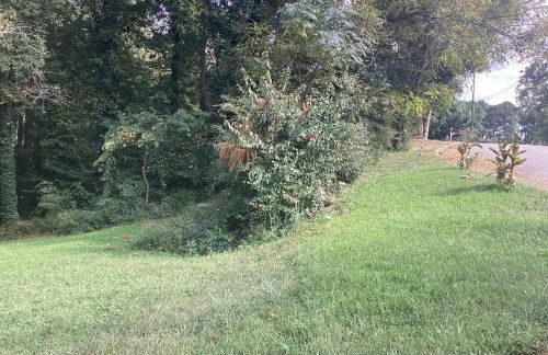 The Carlisle7526 - Foto 7