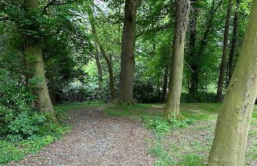 Glebe House - Foto 35