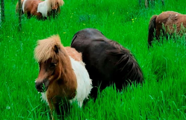 Farm Stay Near Bronkhorst - Photo 25