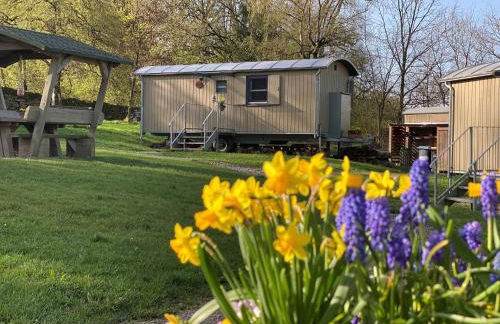 Wagenburg-Solling - Foto 1