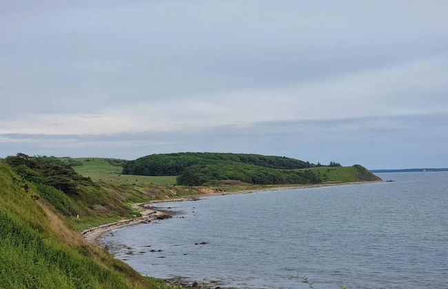 Holiday Home in Kalundborg - Foto 41