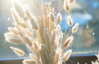 Charmante Ferienwohnung mit sonniger Loggia - Foto 17