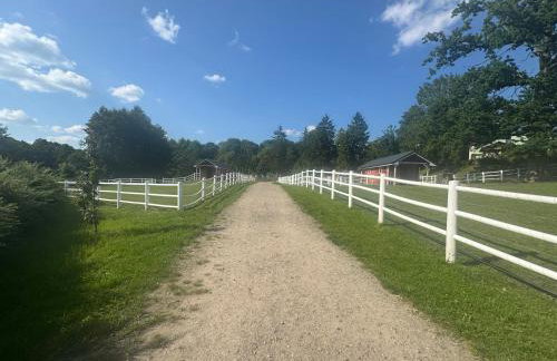 Agroturystyka Zielony Zakątek w Wiewiecku - Foto 44