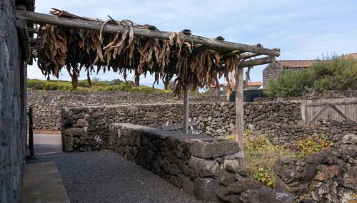 Adega Maciel - Photo 2