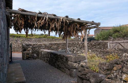 Adega Maciel - Photo 2