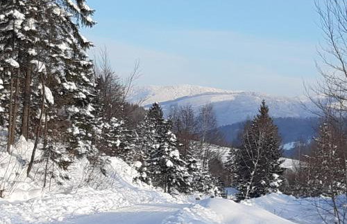 Villa Róża - Foto 37