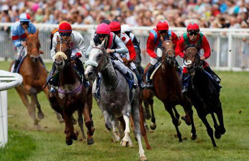 Ferienwohnungen Am Elfenstein - Foto 40