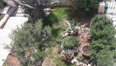 Apartman Grospic - Foto 5