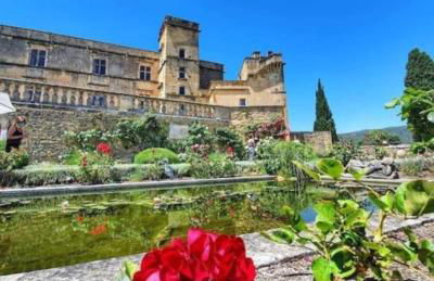 Les Dentelles du Ventoux - Gîte avec Piscine - Photo 41