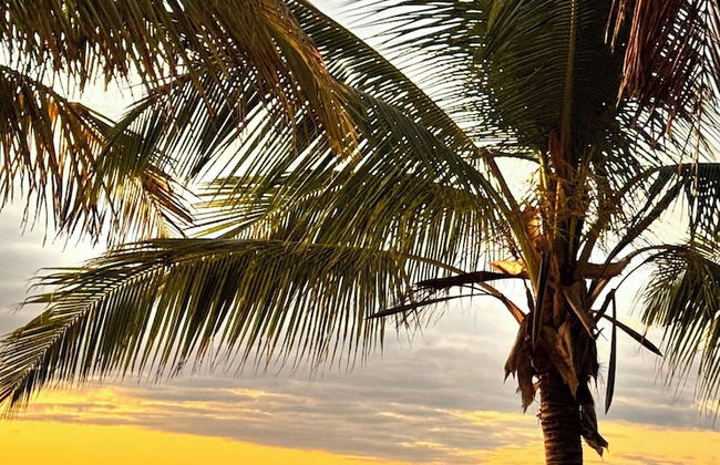 Villa Palmeira - Foto 72