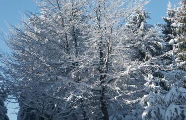 Haus Hinzberg - Photo 7