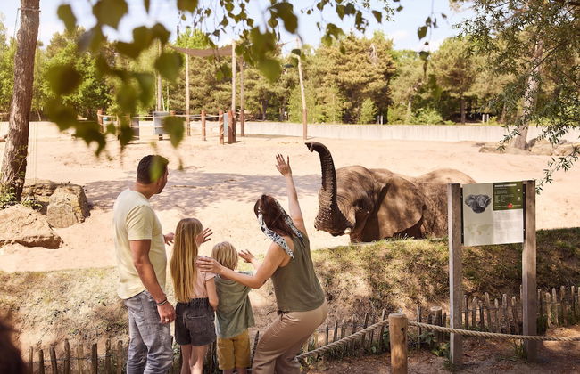 Lake Resort Beekse Bergen - Photo 14