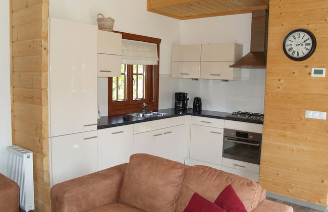 Wooden Chalet in a Holiday Park in the Achterhoek - Foto 4