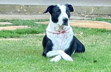 Búzios - Casa da Marina Navegável Rio de Janeiro Brazil - Foto 9