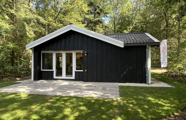 2 bedroom House in Dwingeloo with swimming pool and terrace - Photo 12