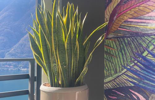 Lake Como Ti Amo - Foto 11