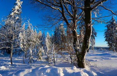 Appartement Am Skihang Altastenberg 1 km zum Skikarusell Winterberg - Photo 24