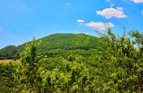 Kuća za odmor s bazenom TeriHy - Foto 32